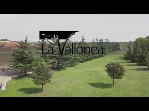 Tenuta La Vallonea 2019
