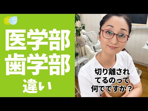 カサブランカ歯学部 - 定義