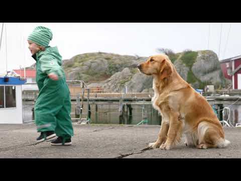 Casacos SS19 - Polarn O. Pyret