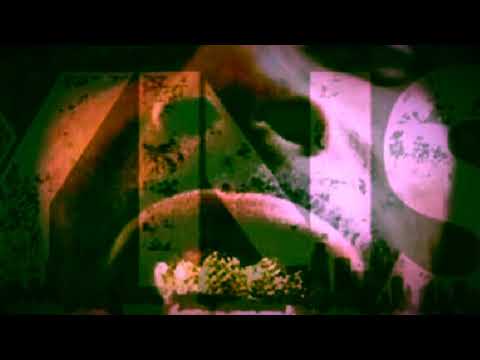 Str8DropSwag JusFloeWells & Ro$e - Thankful