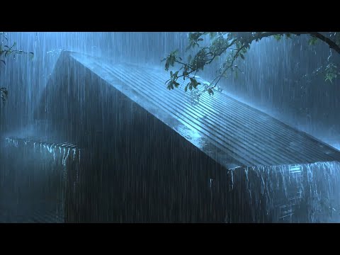 Overcome Insomnia to Sleep Immediately with Heavy Rain & Thunder Sounds on Metal Roof in Rainforest