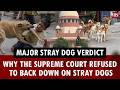 Major stray dog verdict: Why the Supreme Court refused to back down on stray dogs