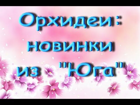 ОРХИДЕИ.Мои ПОКУПКИ:Леко Фантастик,Лиодоро,Сого Готрис и др.ПРИВЕТЫ Татьяне и Ксении :)