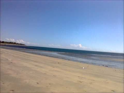 Goi Mo Mix Down - Aroma Local