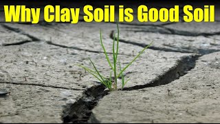 Why Clay Soil is Good, and How Water Moves Through Soil