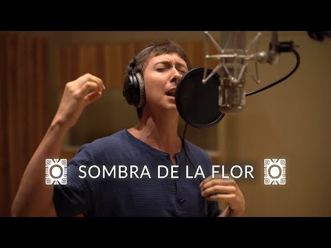 Aguamadera - Sombra de la flor