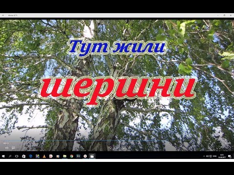 Развешиваю ловушки для бродячих роёв и снятие старой после заселения шершнями