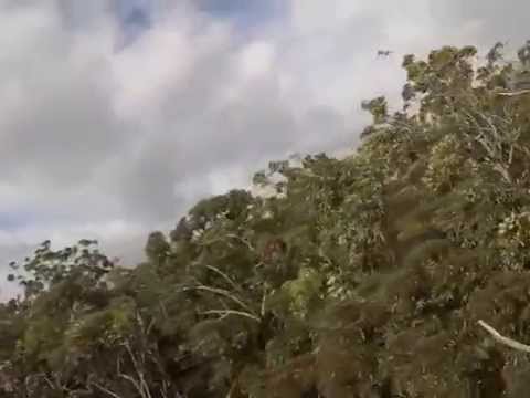 Koloa Zipline - Kauai Zipline Tours