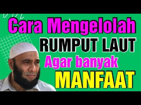 CARA MENGELOLAH RUMPUT LAUT AGAR BANYAK MANFAAT UNTUK TUBUH DAN WAJAH dr.Zaidul Akbar