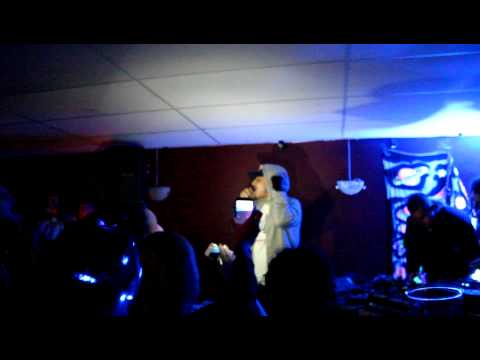 Jacco | Fridens Festival - Babylon brinner & Tribulations