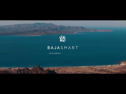 BajaSmart Los Cabos — Intelligence Powers Wealth