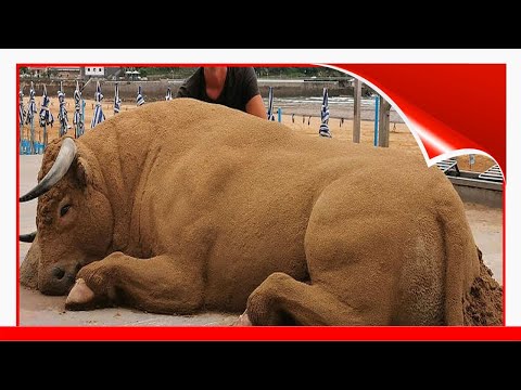 Sand Artist Creates Detailed Sculptures That You Could Easily Mistake For Live Animals If You Saw 🥰