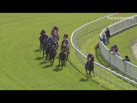 Golden Horn - The 2015 Epsom Derby