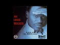 Joe Louis Walker  - Bluesiflyin'