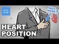 Your heart is not where you think it is - Human Anatomy | Kenhub