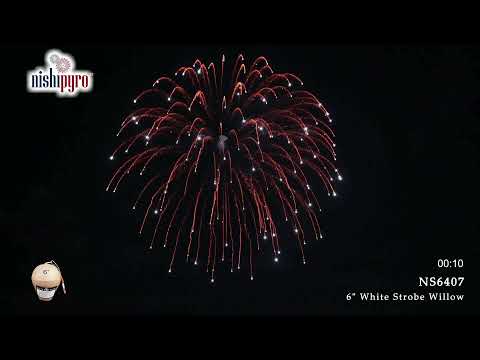 NS6407 - White Strobe Willow