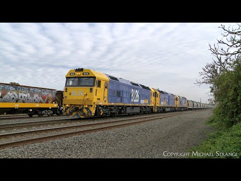 7736V Pacific National Grain Train Crosses 7731V Grain Train (14/6/2024) - PoathTV Railways