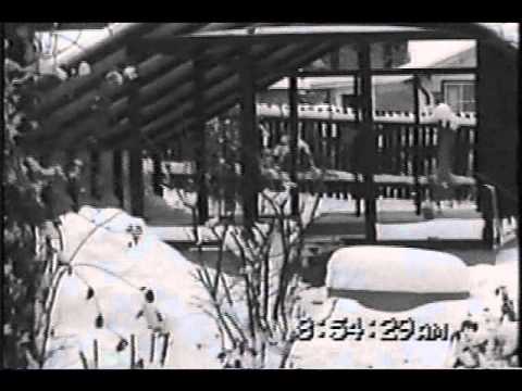 Erlabrunn Gartenanlage November 1996