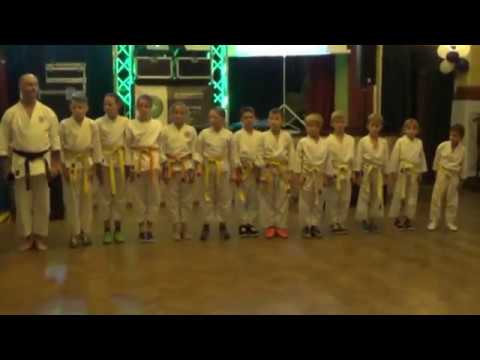 Sportlerball Demo2016