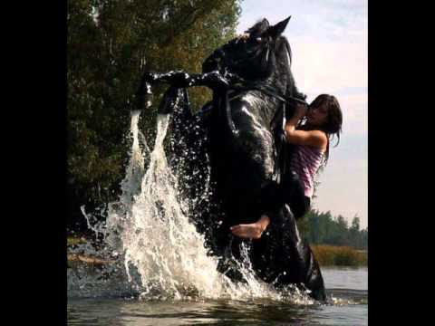 ★Bassrockerz Feat Elena - Surrender (Dj Gollum Radio Mix)★