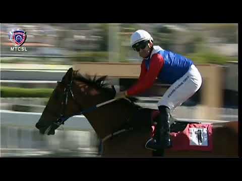 6e Course: Undercover Agent Irrésistible!