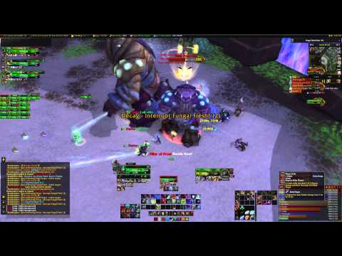World of Warcraft - Highmaul Heroic: Brackenspore