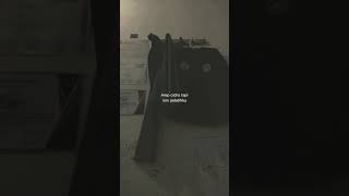 Download lagu Story Wa viral tiktok pagar nusa  #pagarnusa #viraltiktok #viral #tiktok #storywa #storywa30detik mp3