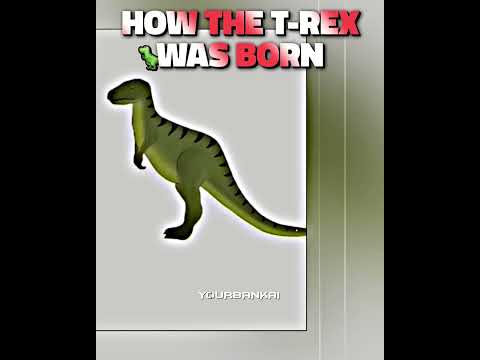 This is 100% Real ✅🔥😂