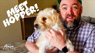 Monson's Favorite Things #1 - Puppies! Pickled Lentils! Bitchin' Hummus and Vegan Chili!
