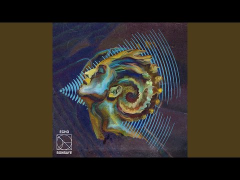 Echo