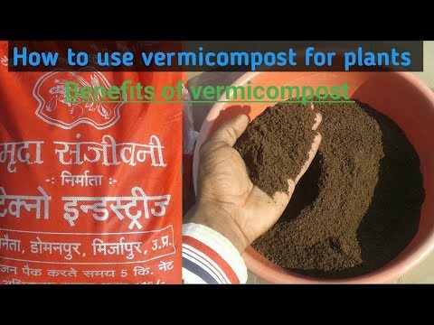How to use vermicompost for plants