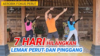 Download lagu AEROBIK FOKUS PERUT DAN PINGGANG 7 HARI LEMAK HANCUR mp3