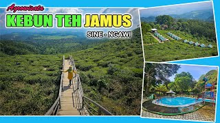 Download lagu AGROWISATA KEBUN TEH JAMUS I Kebun Teh yang Ada Sejak 1886 I Sine, Ngawi I Update Tahun 2025 mp3 Download lagu AGROWISATA KEBUN TEH JAMUS I Kebun Teh yang Ada Sejak 1886 I Sine, Ngawi I Update Tahun 2025 mp3