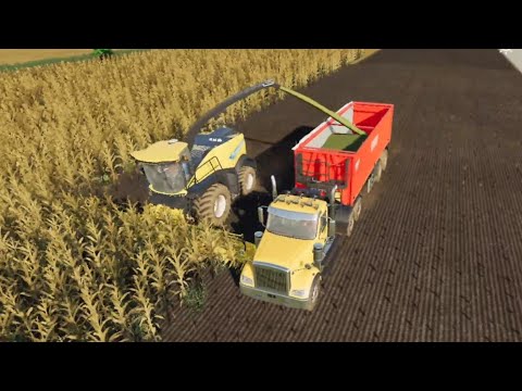 Farming Simulator 19 Corn 🌽 Cutting And Making Grass in Loading Truck In Fs 19 @RDCreationRdgryoutube