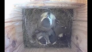 Zwei Tage vor dem Flug