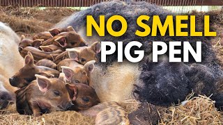 How to Raise Pigs Without the Stink – KNF Deep Bedding Explained