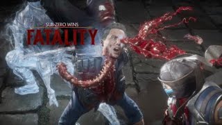 Mortal Kombat 11: Sub-Zero Frozen In Time Fatality