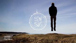 The Palms - Levitate