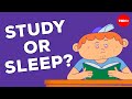What Staying Up All Night Does To Your Brain Anna Rothschild