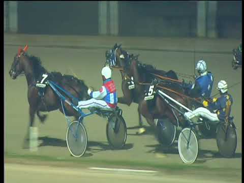 Trotto 02/01/2018 - 6ª corsa