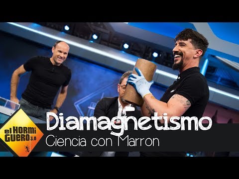 Marron nos descubre el espectacular resultado del diamagnetismo - El Hormiguero 3.0