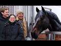 Who Will Be Our Breeding Stallion