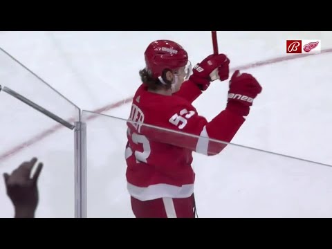 21/22 RS: NYI @ Det Highlights - 12/4/21