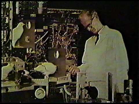 BF Skinner Foundation - Skinner Box