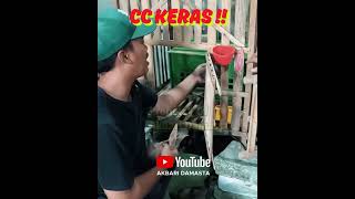 Download lagu 18 Million Only CC Pigeons dorr #shortvideo #shorts #short mp3 Download lagu 18 Million Only CC Pigeons dorr #shortvideo #shorts #short mp3