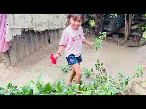 Dhriti kemon rasta clean korlo 🥰😍😘🥰