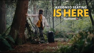 Southwest Airlines ✈️ Vines