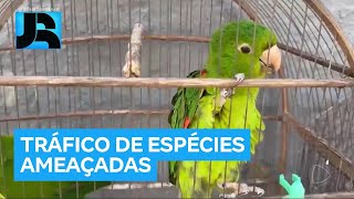 Miniatura do vídeo