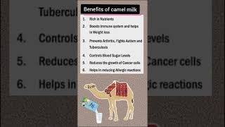 Camel milk benefits | DVM |