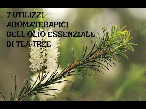 Maschere da lentiggini da siero Sogni il libro a quello che sogna lentiggini